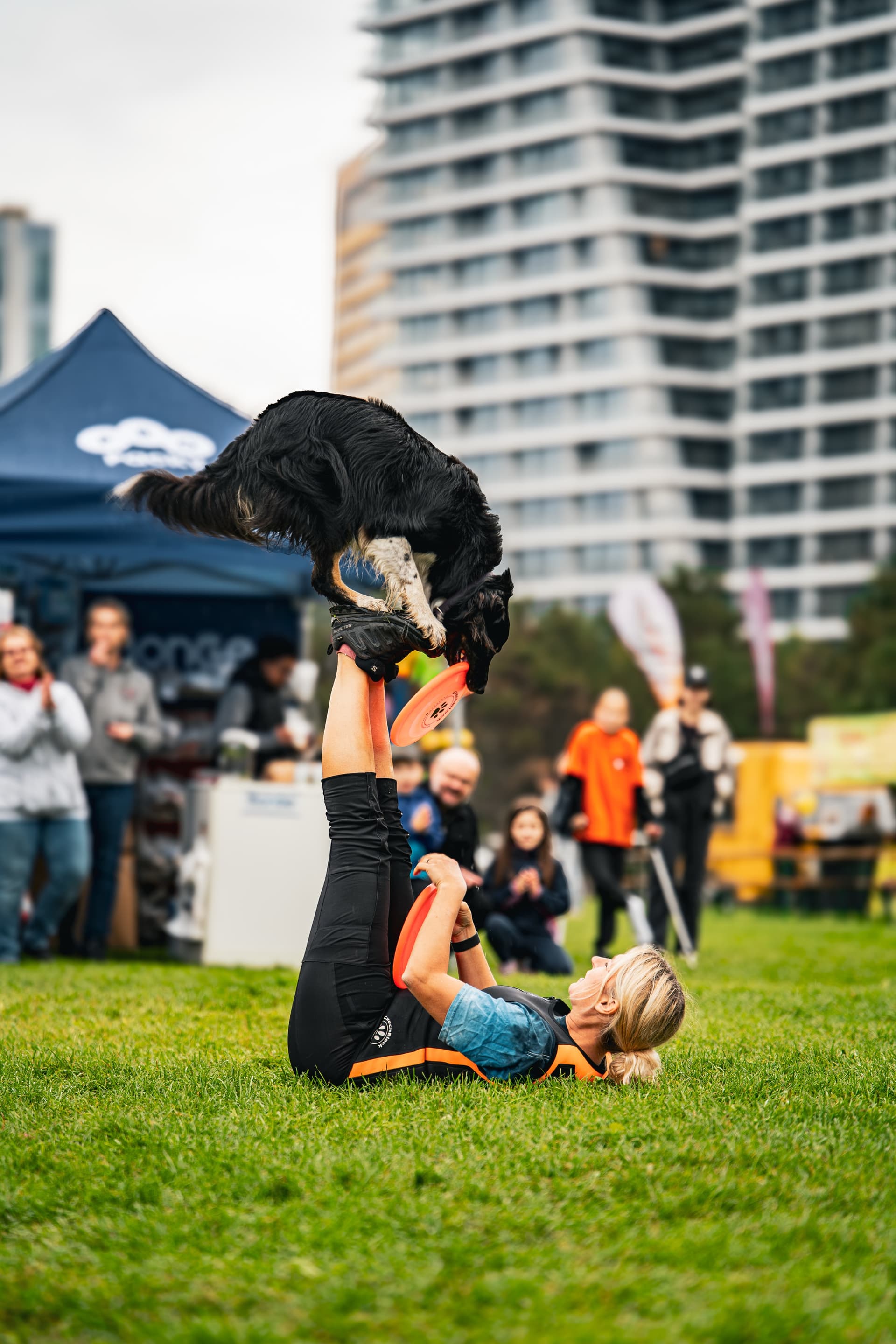 Psí agility na eventu v Praze s panoramatem města